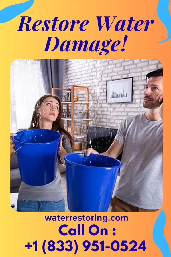 water restoration Liberty Flood Cleanup Solutions Dendron