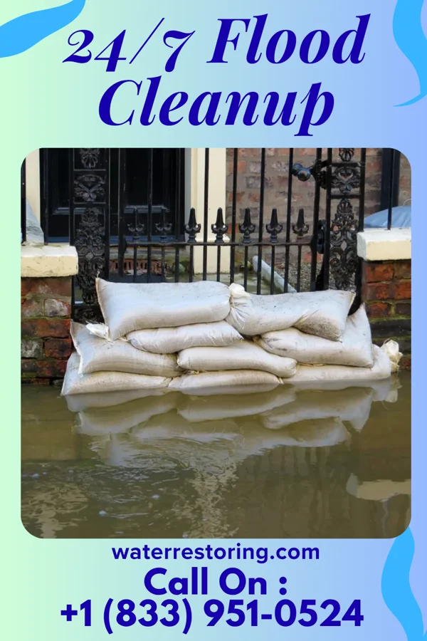 24/7 Flood Cleanup in Dendron, VA