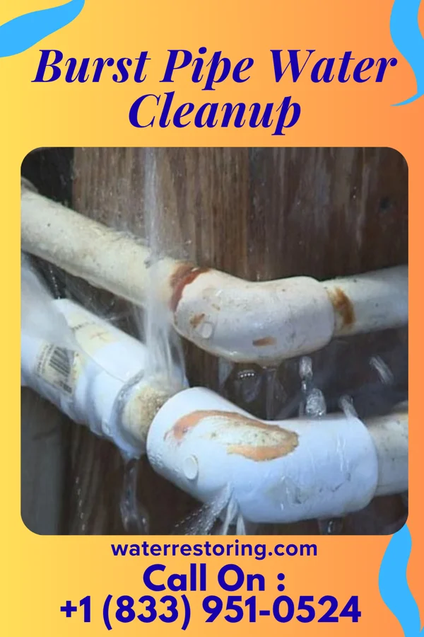 Burst Pipe Water Cleanup in Dendron, VA