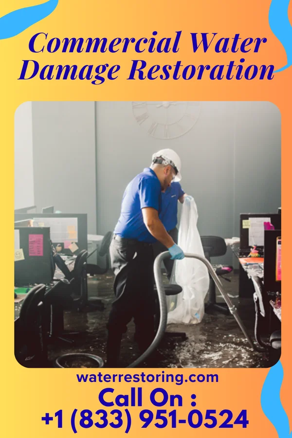 Commercial Water Damage Restoration in Dendron, VA