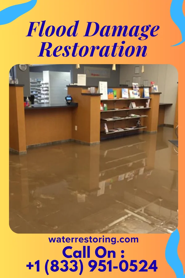 Flood Damage Restoration in Dendron, VA