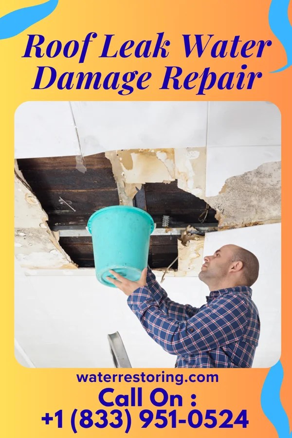 Roof Leak Water Damage Repair in Dendron, VA