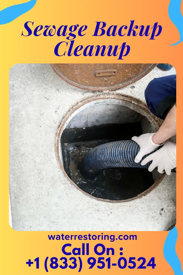 Sewage Backup Cleanup in Dendron, VA