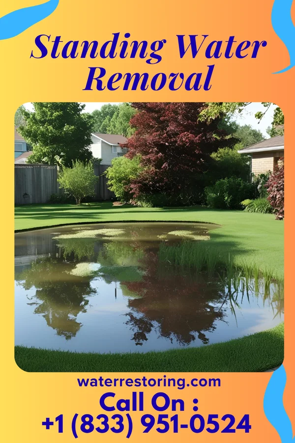 Standing Water Removal in Dendron, VA